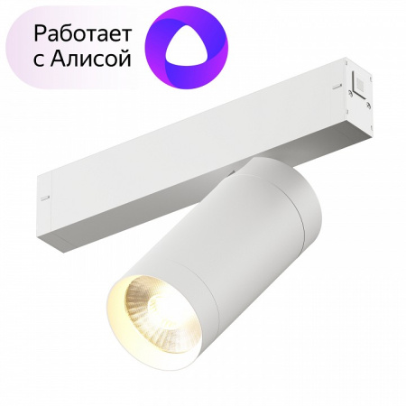 Открыть Светильник на штанге Denkirs Dk80 DK8020-WH Фото Светильник на штанге Denkirs Dk80 DK8020-WH