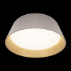 Открыть Накладной светильник Loft it Evans 10224 White Фото Накладной светильник Loft it Evans 10224 White