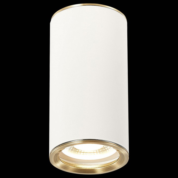 Фото Накладной светильник ST-Luce Chomus ST111.537.01