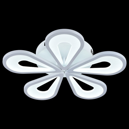 Фото Потолочная люстра Escada Kamille 10206/5LED White