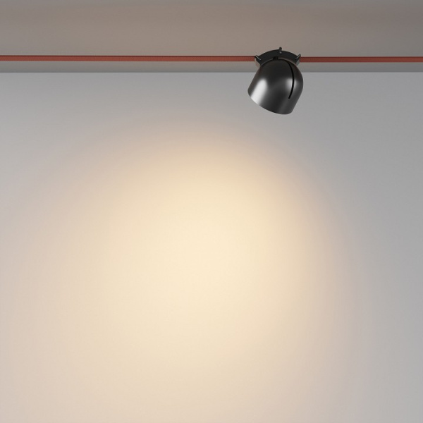 Фото Накладной светильник Maytoni Cup TR124B-12W3K-B