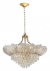 Фото Подвесная люстра Odeon Light Paroti 5048/16