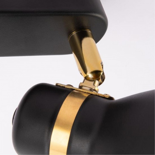 Фото Спот Arte Lamp Fafnir A5047PL-2BK