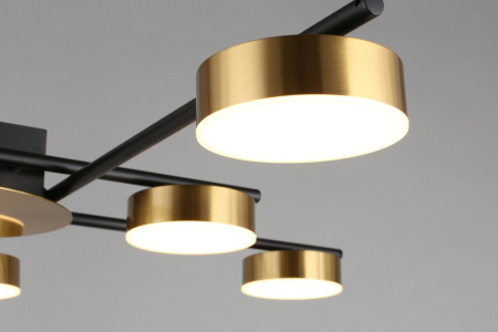 Фото Потолочная люстра Aployt Delayn APL.042.07.56