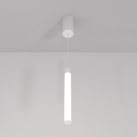 Фото Подвесной светильник Maytoni Ray P022PL-L10W