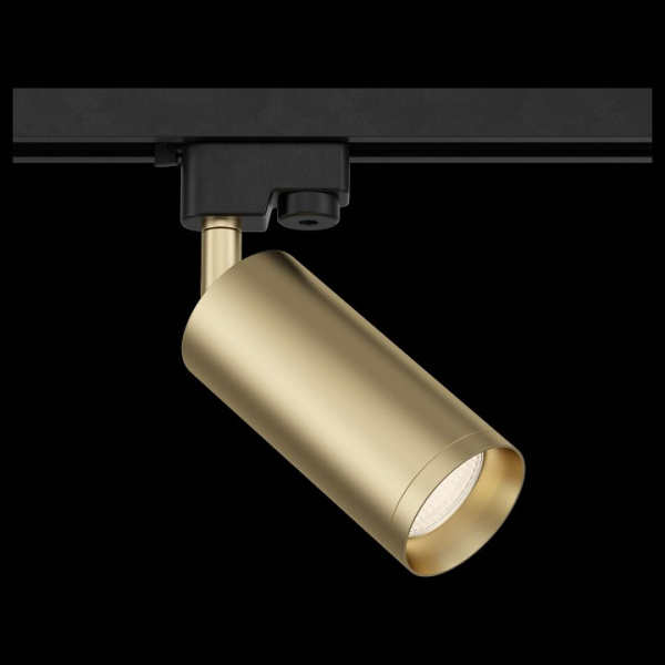 Фото Светильник на штанге Maytoni Focus TR004-1-GU10-MG