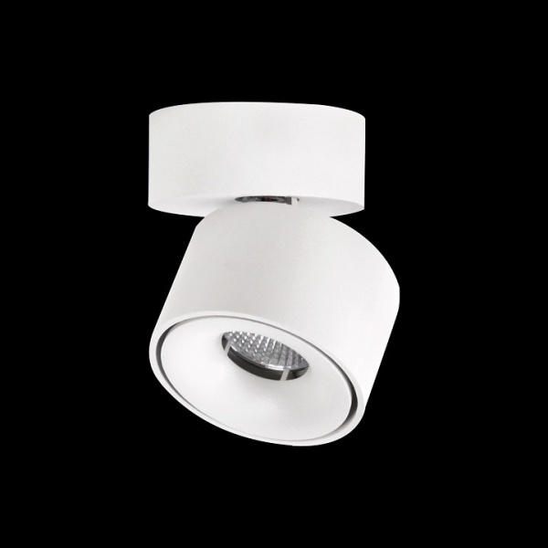 Фото Спот Citilux Стамп CL558010N