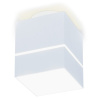 Накладной светильник Ambrella Light TN TN257 Накладной светильник Ambrella Light TN TN257