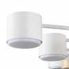 Открыть Потолочная люстра Lumion Rondo 8196/10C Фото Потолочная люстра Lumion Rondo 8196/10C