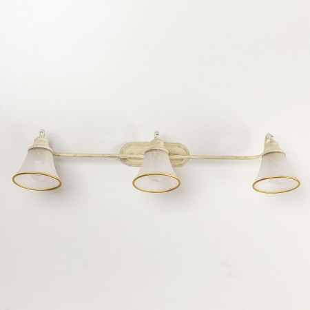 Фото Спот Citilux Прованс CL511534