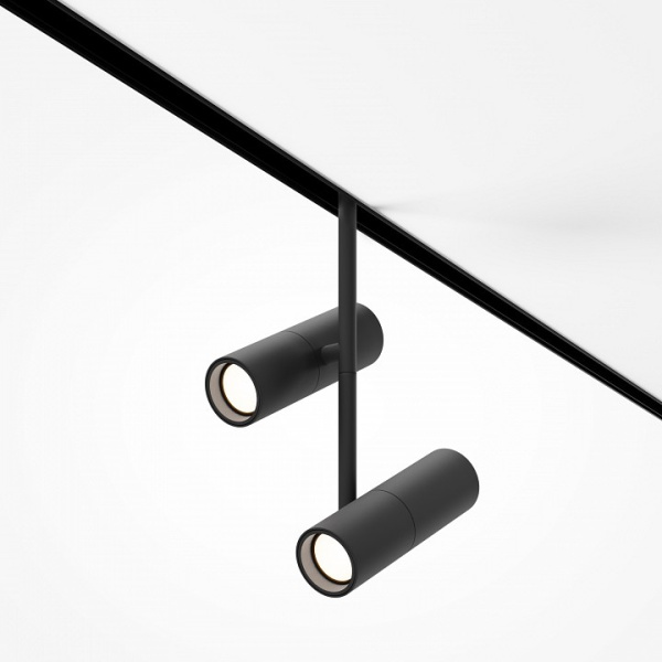Фото Светильник на штанге Maytoni Elti Duo TR005-2-2X12W3K-B