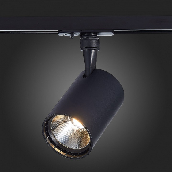 Фото Светильник на штанге ST-Luce Cami ST351.446.30.36