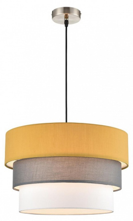 Фото Подвесной светильник Lumion Ilaida 8038/3