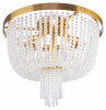 Фото Потолочная люстра Freya Ornament FR1008CL-06BS