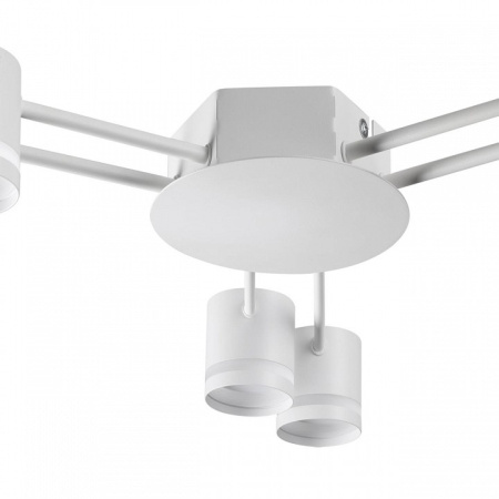 Фото Потолочная люстра Lumion Gareta 8235/6C