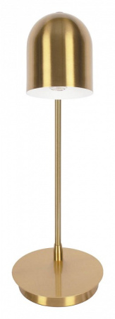 Фото Настольная лампа офисная Loft it Tango 10144 Gold