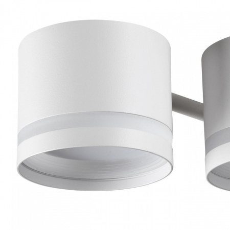 Фото Потолочная люстра Lumion Gareta 8235/6C