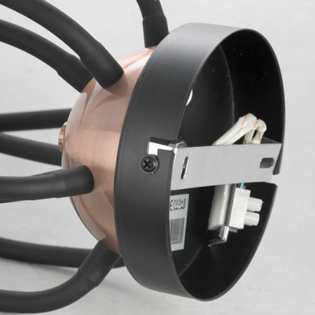 Фото Потолочная люстра Lussole Regina GRLSP-8247