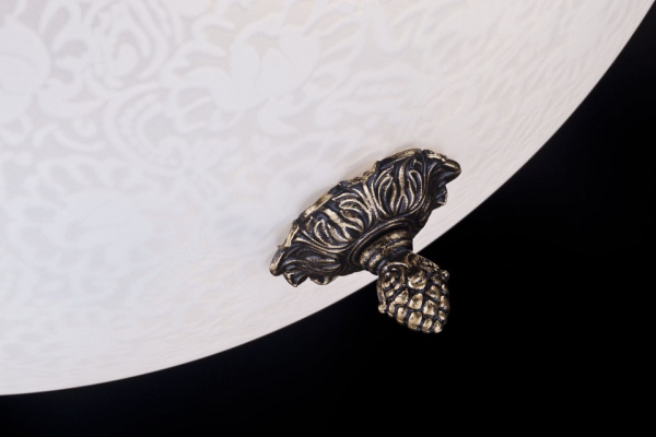 Фото Накладной светильник Maytoni Pascal C908-CL-04-R