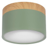 Накладной светильник Loft it Grape 10162 Green Накладной светильник Loft it Grape 10162 Green