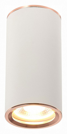 Фото Накладной светильник ST-Luce Chomus ST111.527.01