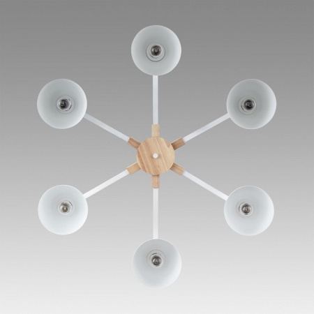 Фото Люстра на штанге Lumion Colange 8095/6C