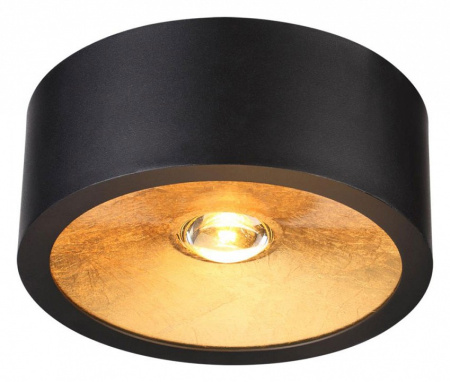 Фото Накладной светильник Odeon Light Glasgow 3878/1CL