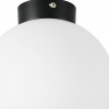 Фото Накладной светильник Lightstar Globo 812027
