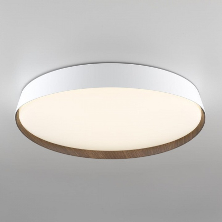 Фото Накладной светильник Citilux BONNY CL754450G