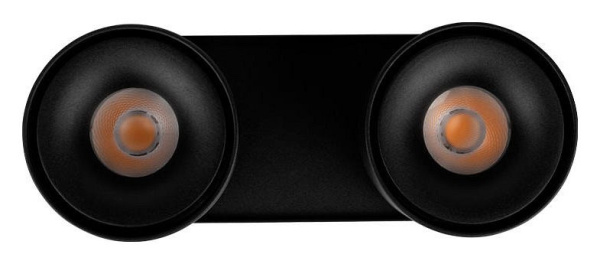Фото Спот Loft it Focus 10323/2A Black