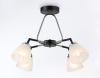 Открыть Люстра на штанге Ambrella Light TR TR303293 Фото Люстра на штанге Ambrella Light TR TR303293