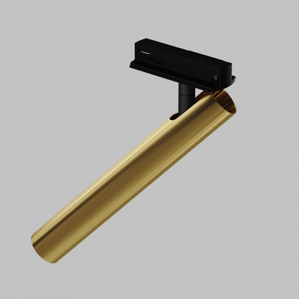 Фото Светильник на штанге Maytoni Focus T TR141-1-6W4K-M-BS