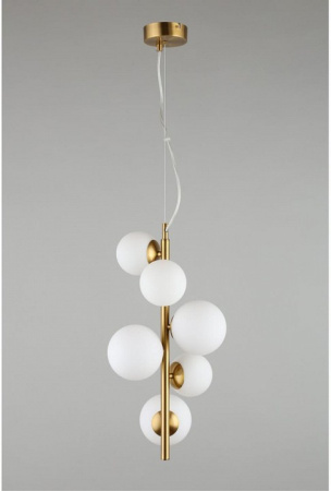 Фото Подвесная люстра Aployt Letizia APL.314.06.06