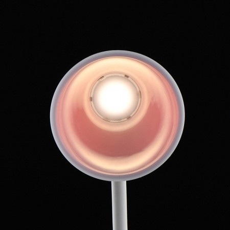 Фото Настольная лампа офисная DeMarkt Ракурс 631036201