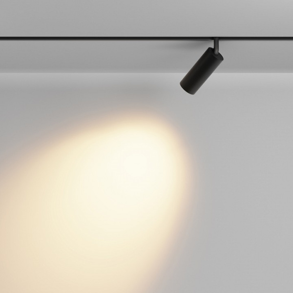 Фото Светильник на штанге Maytoni Focus LED TR032-2-12W2.7K-M-B