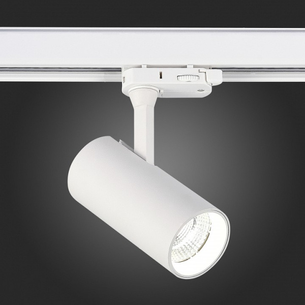 Фото Светильник на штанге ST-Luce ST661 ST661.546.10