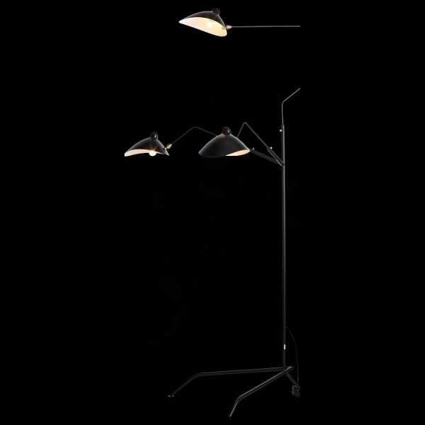 Фото Торшер ST-Luce Spruzzo SL305.405.03