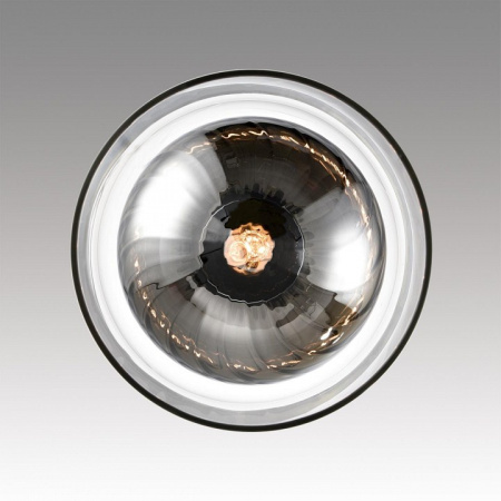 Фото Подвесной светильник Lumion Gallo 8066/1A