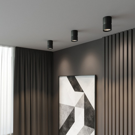 Фото Накладной светильник Elektrostandard Kayo a064729