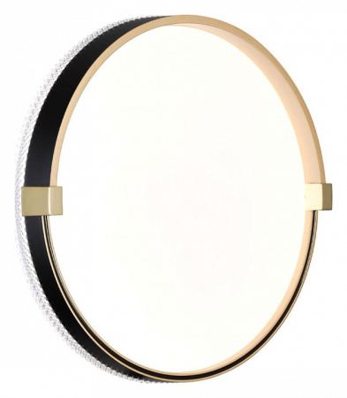 Фото Накладной светильник Sonex Olidi Black 7647/CL