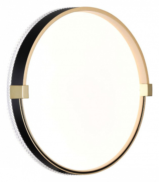 Фото Накладной светильник Sonex Olidi Black 7647/CL