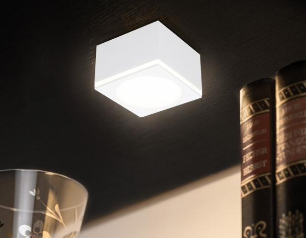 Фото Накладной светильник Ambrella Light TN TN266