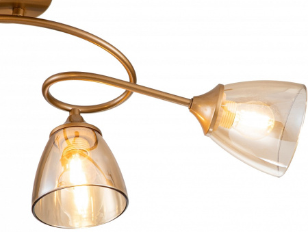 Фото Потолочная люстра Escada Celosia 1112/4P