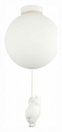 Фото Накладной светильник EVOLUCE Modena SLE115412-01