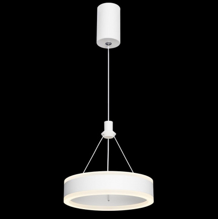 Фото Подвесной светильник Citilux Дуэт CL719010