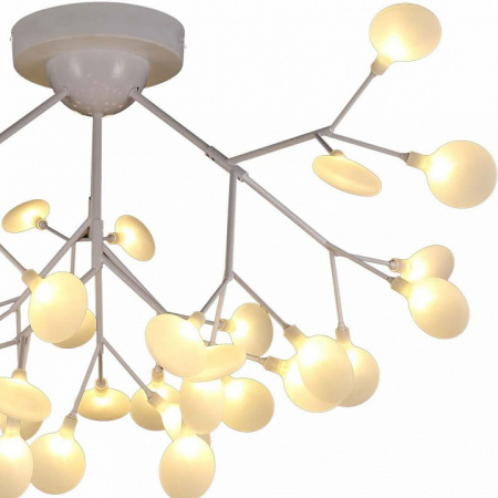 Открыть Потолочная люстра EVOLUCE Avola SLE250102-36 Фото Потолочная люстра EVOLUCE Avola SLE250102-36