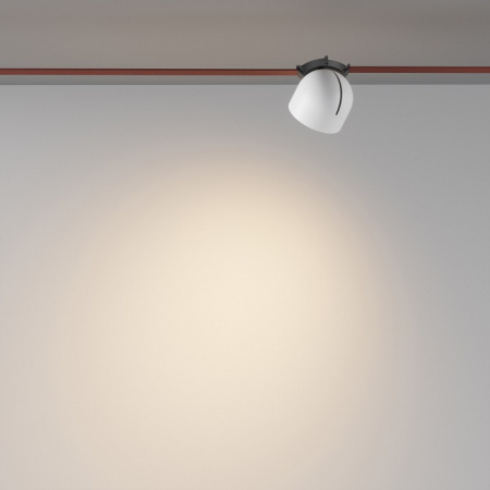 Фото Накладной светильник Maytoni Cup TR124B-12W3K-W