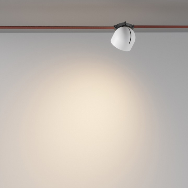 Фото Накладной светильник Maytoni Cup TR124B-12W3K-W