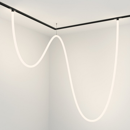 Фото Подвесной светильник Maytoni Tau TR101-2-100W4K-B