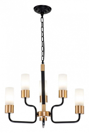 Фото Подвесная люстра Escada Level 2108/6P